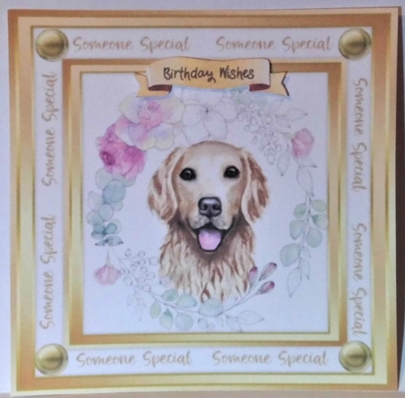 Beautiful Lab   Dog  by Hazel Underwood