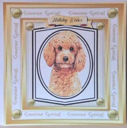 6, Lovely Dogs in a Gold frame by Hazel Underwood