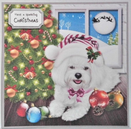Waiting for Santa Paws by Hazel Underwood