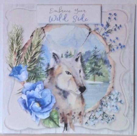 Call of the Wild 2 Card Front and Inserts Kit by Hazel Underwood