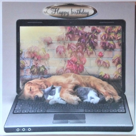sleeping buddies  by Hazel Underwood
