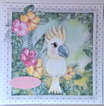 Lovely White Parrot by Hazel Underwood
