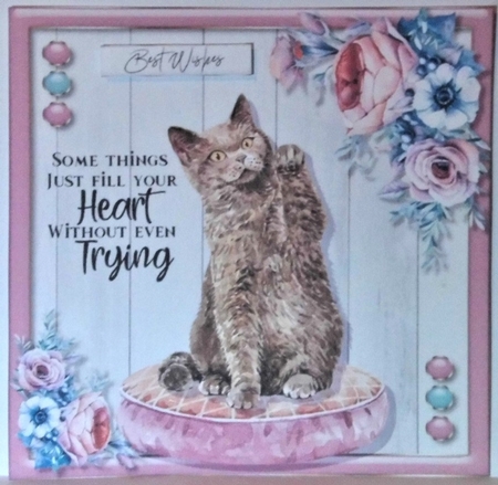 Cat Love 1  by Hazel Underwood