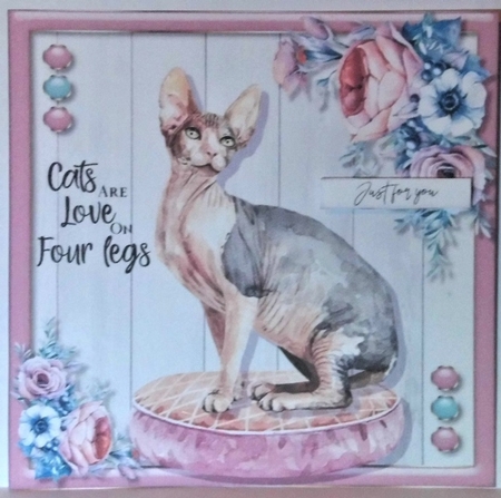 Cat Love 2  by Hazel Underwood