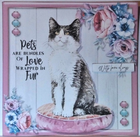 Cat Love 3  by Hazel Underwood