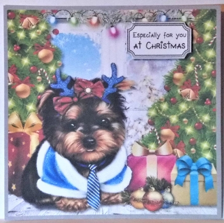 Santa Paws is coming to town by Hazel Underwood