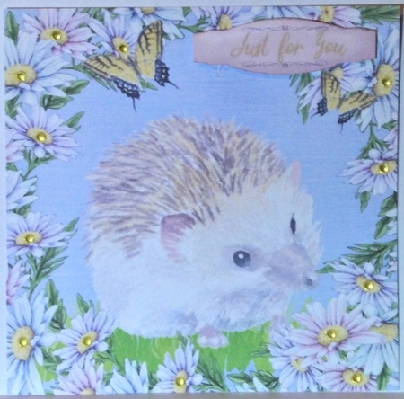 3 Daisy hedgehog card fronts/toppers 1 by Hazel Underwood