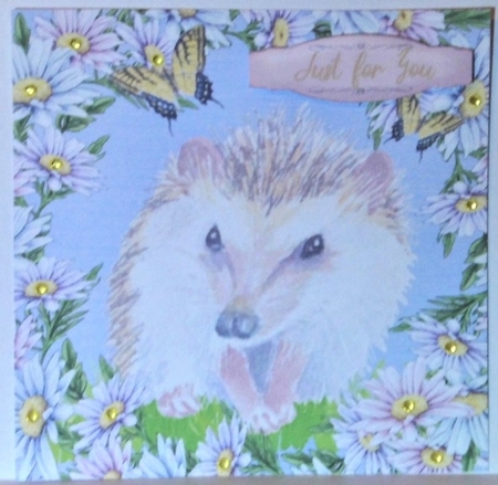 3 Daisy hedgehog card fronts/toppers 2 by Hazel Underwood