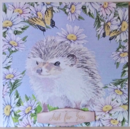 3 Daisy hedgehog card fronts/toppers 3 by Hazel Underwood