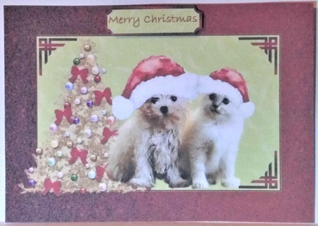 Cute Christmas Portrait by Hazel Underwood