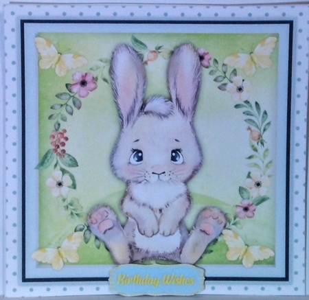 Gorgeous Bunny and Butterflies  by Hazel Underwood