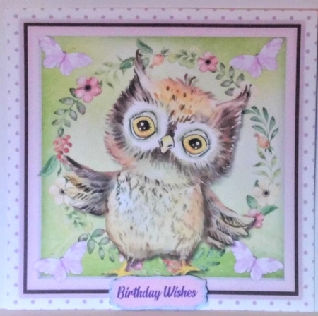 Gorgeous Owl and Butterflies  by Hazel Underwood