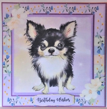 Adorable Chihuahua by Hazel Underwood