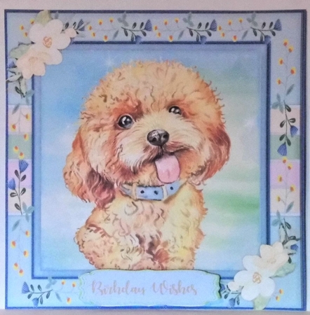 Adorable Labradoodle  Pup by Hazel Underwood