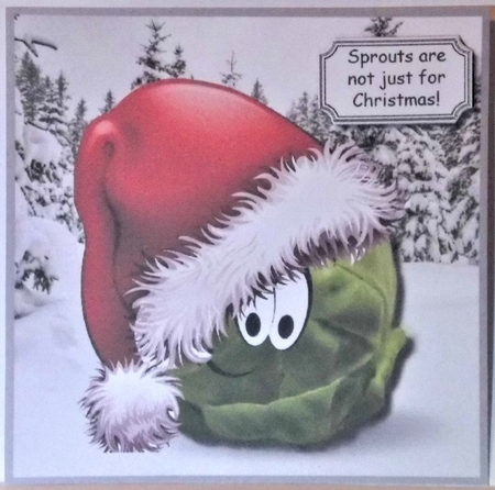 Sprouts are not just for Christmas! by Hazel Underwood