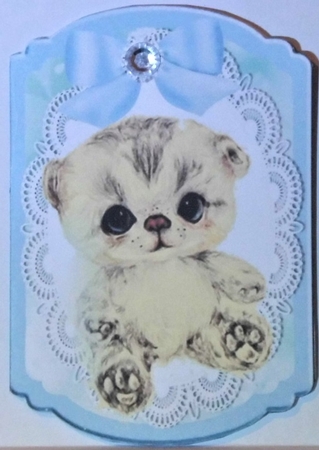 Cute little kitten with blue bow on lace bracket card by Hazel Underwood