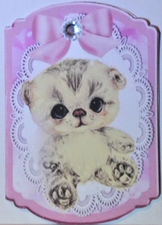 Cute little kitten with pink bow on lace bracket card by Hazel Underwood