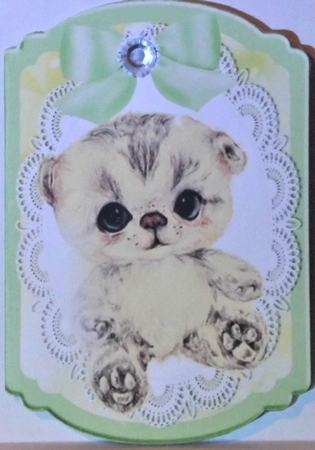 Cute little kitten with green bow on lace bracket card by Hazel Underwood