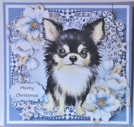 Gorgeous Black Chihuhua With Blue Festive Flowers 6x6 by Hazel Underwood