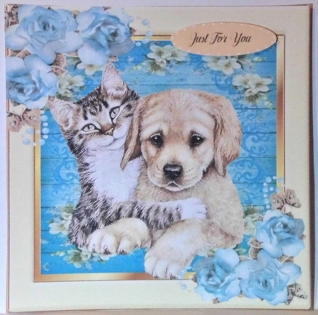pretty floral frame with cuddling kitten and puppy  8x8 by Hazel Underwood