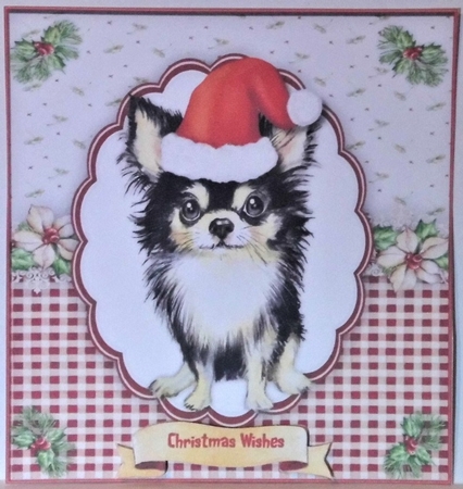 Cute Chihuahua in a Santa Hat by Hazel Underwood