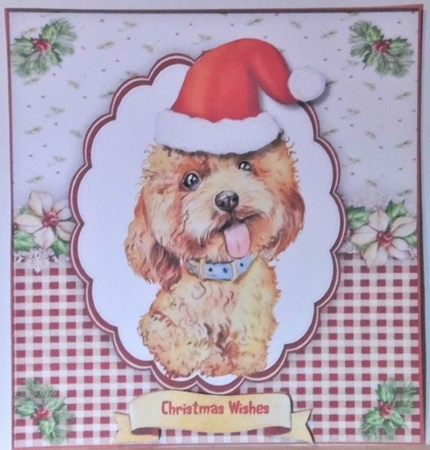 Cute Labradoodle  in a Santa Hat by Hazel Underwood