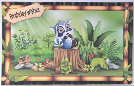 Garden Racoon by Hazel Underwood