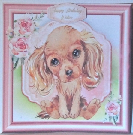 Gorgeous Cavalier Spaniel Puppy , Tan by Hazel Underwood