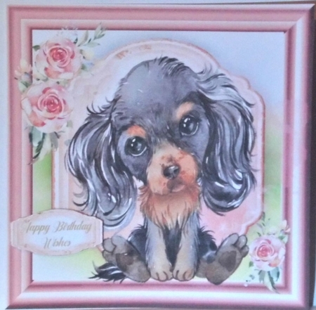 Gorgeous Cavalier Spaniel Puppy , Black &Tan by Hazel Underwood