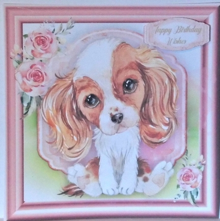 Gorgeous Cavalier Spaniel Puppy , White &Tan by Hazel Underwood