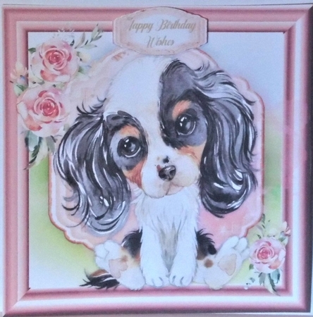 Gorgeous Cavalier Spaniel Puppy , White & White by Hazel Underwood