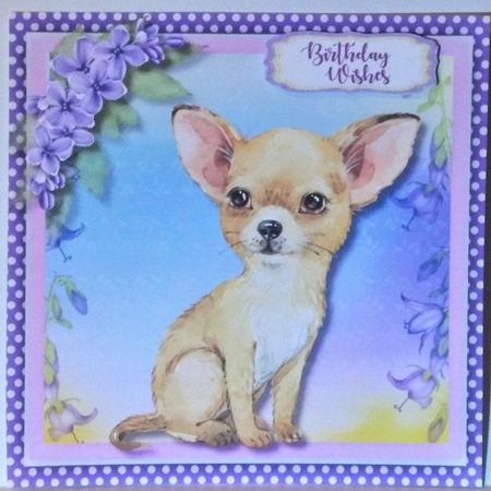 Adorable Chihuahua by Hazel Underwood