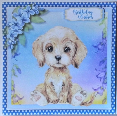 Adorable Labradoodle by Hazel Underwood