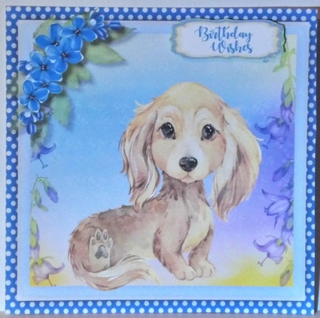 Adorable Dachshund by Hazel Underwood
