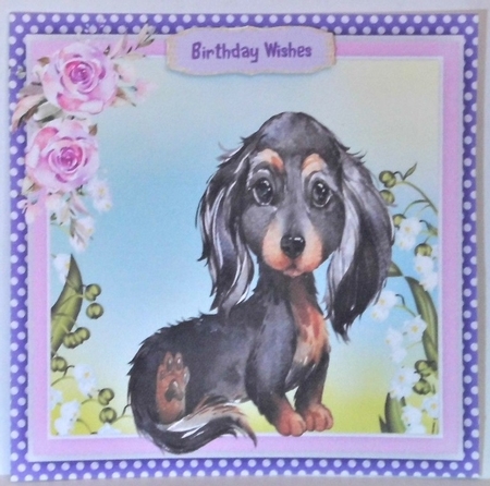 Gorgeous Black and Tan Dachshund by Hazel Underwood