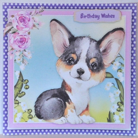 Gorgeous Tri Colour Welsh Corgi by Hazel Underwood