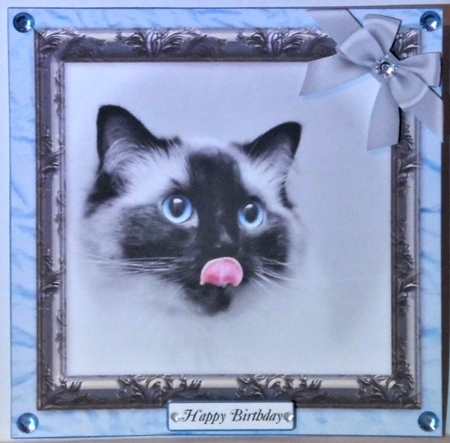 PRETTY PETS CAT by Hazel Underwood