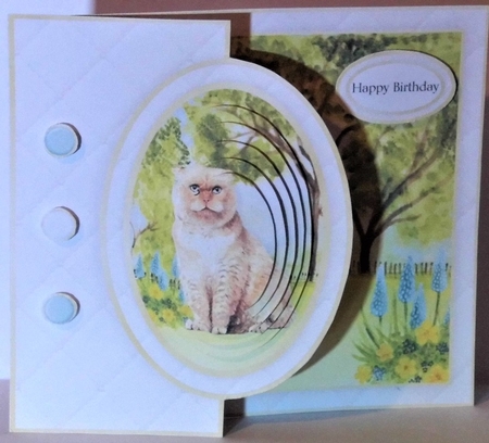 Cat Half Front Card 2 by Hazel Underwood