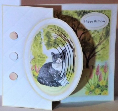 Cat Half Front Card 6 by Hazel Underwood