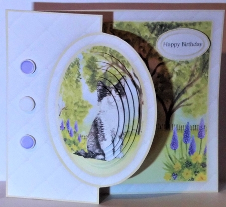 Cat Half Front Card 12 by Hazel Underwood