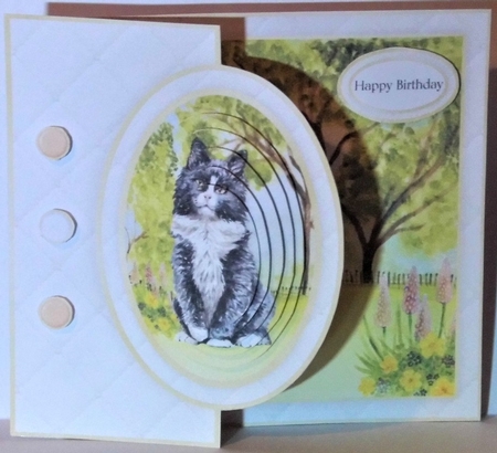 Cat Half Front Card Bumper Kit 1 by Hazel Underwood