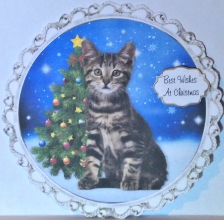 Christmas Cat Toppers  by Hazel Underwood