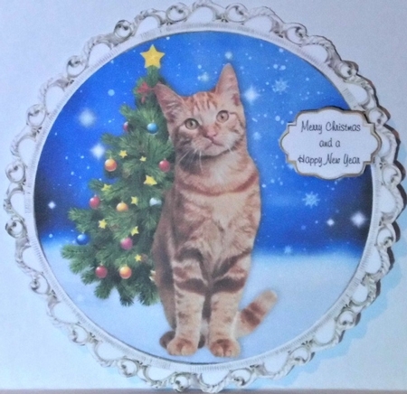 Christmas Cat Toppers  by Hazel Underwood