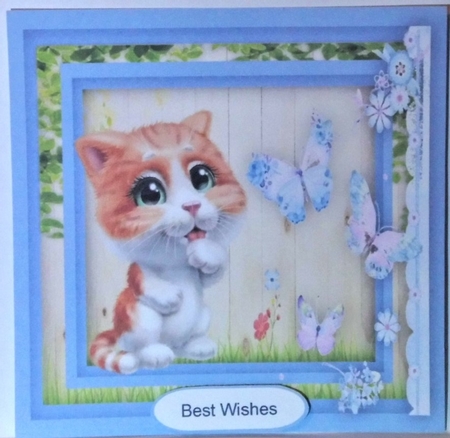 8 Card fronts , Cute Animals  by Hazel Underwood