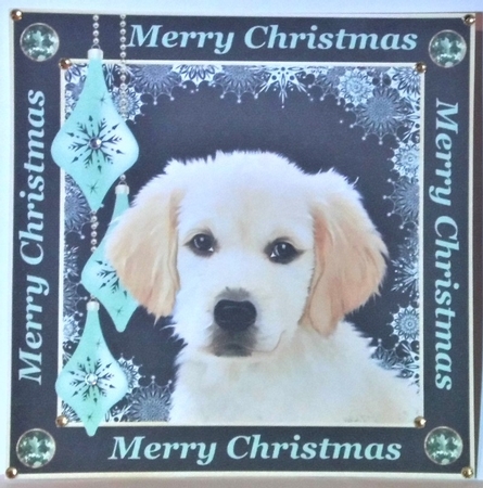 3 Cute Christmas pup card fronts/toppers(no hat) by Hazel Underwood