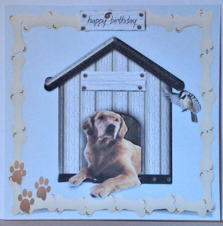 dog in frame by Hazel Underwood