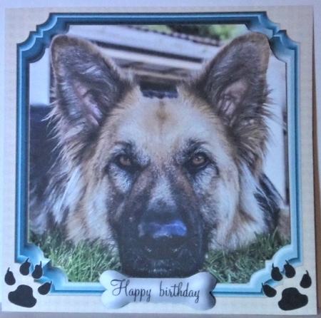 German shepherd  by Hazel Underwood