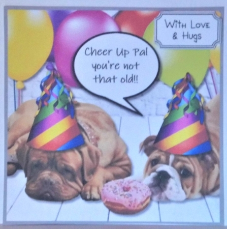 Cheer Up Pal Youre not that old!! by Hazel Underwood