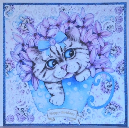 Curious cat by Hazel Underwood