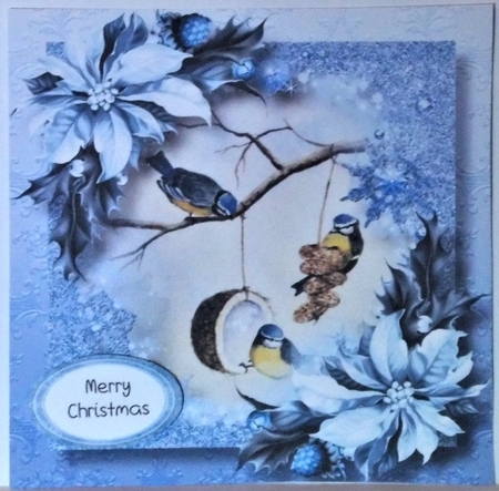 Snow Frame Christmas - Winter Birds 8x8 by Hazel Underwood